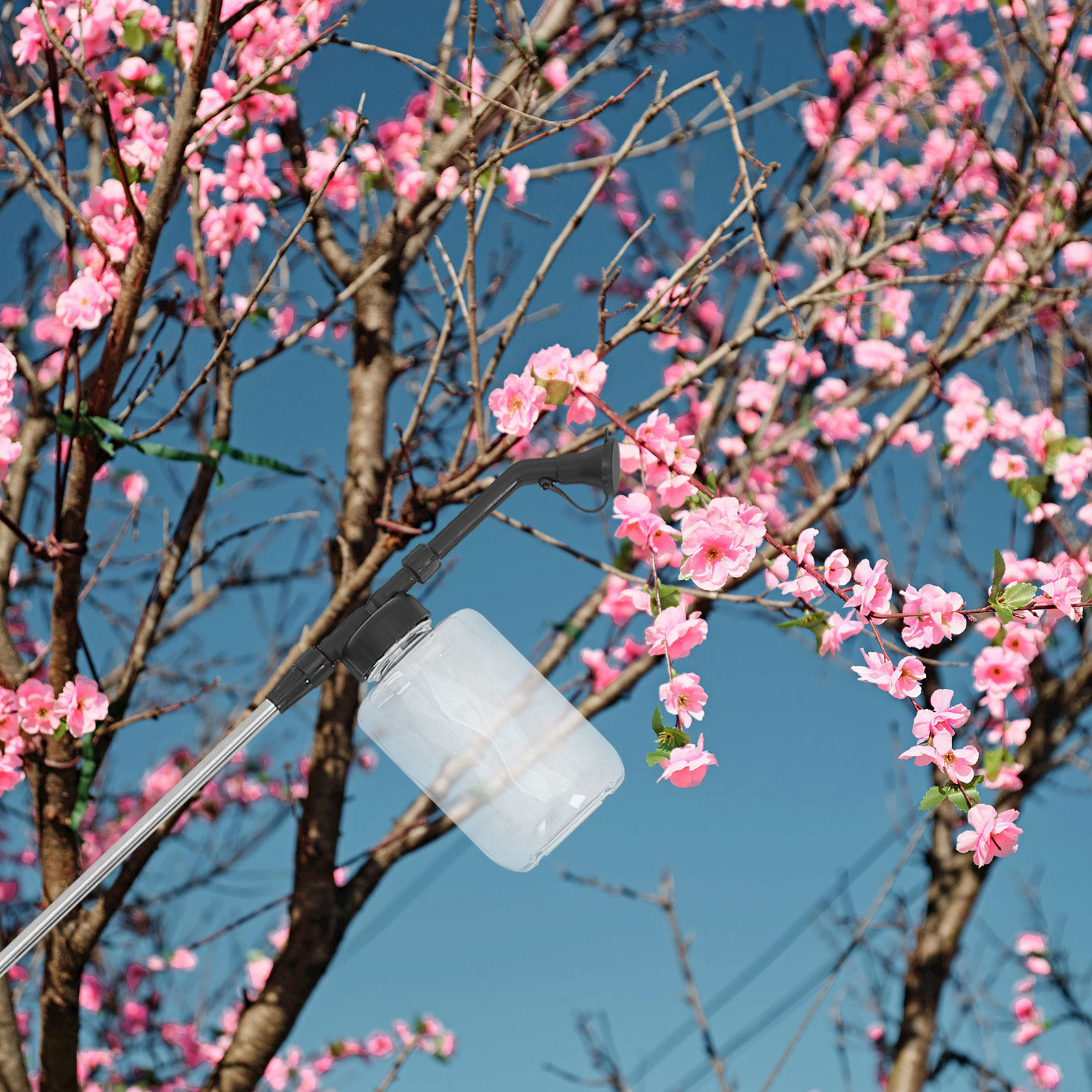 Manual Pollination Stick Handh - Flower Supply review and price